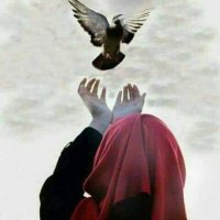 متفائلة بالله (@co9lv8hqf3ps6w6) 's Twitter Profile