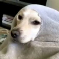 Estebankiitho (@estebankiitho) 's Twitter Profile