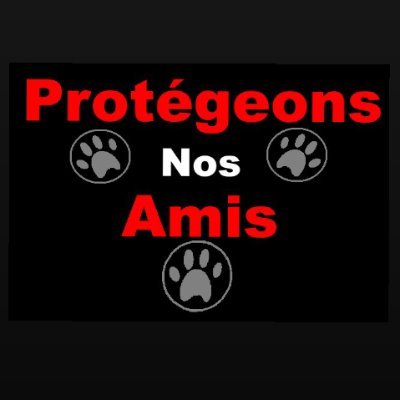 Personne passionné par les animaux et fais tout pour lutter contre les abandons et la protection des animaux.
Instagram : protegeonsnosamis