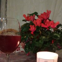 aras16aras (@tekbursaa) 's Twitter Profile Photo