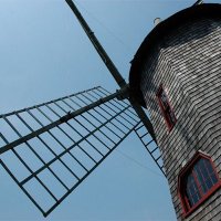 Stony Brook MFA in Writing & Lit (@stonybrookmfa) 's Twitter Profile