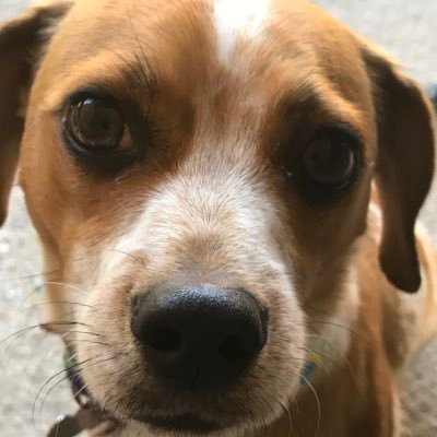 Cozbrad's profile picture. Me? I like to garden. Honestly, I hate grass. More flowers, more veggies. Less grass.