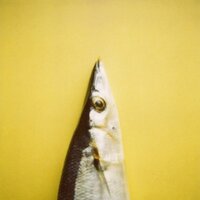 伊野 亘輝 (@memocamera) 's Twitter Profile