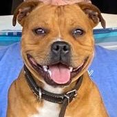 JacoNel777's profile picture. 