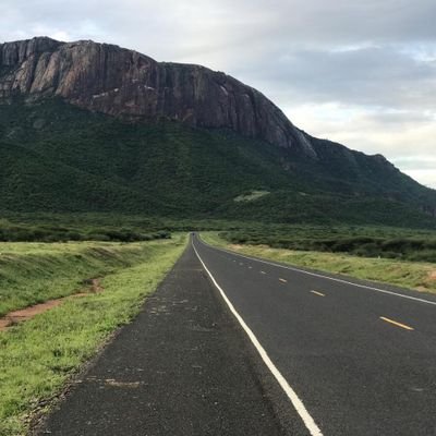 kera_gori's profile picture. cars comedy sport