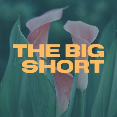 The Big Short presents the Covid Short Story Prize for Uplifting Short Stories in the Time of Corona, and Beyond.