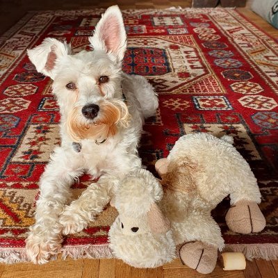 Passionate about - The Built Environment🌁 Urban Regeneration🏗️ Architecture🏛️ Urban Photography📷 Cricket🏏NCFC ⚽️ Milo🐾