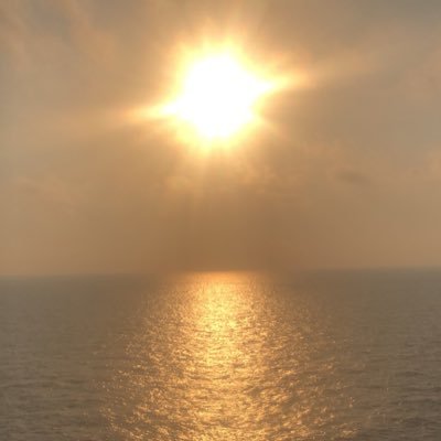 Carjorod's profile picture. 