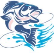 Minhphu233's profile picture. I am from Vietnam. I came to the USA in 2019 and I started my new life here.