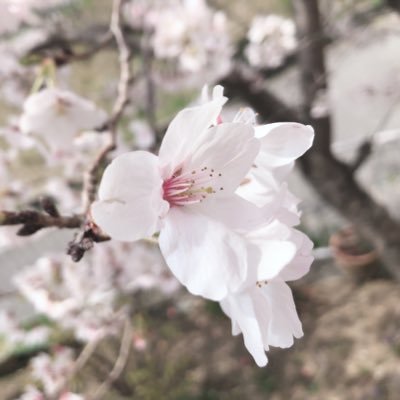 ayaka_22701's profile picture. 成人済 20↑ 腐、夢 見る専