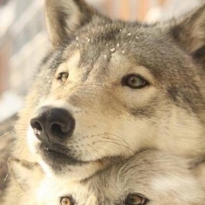 UNION(@UNION_TOE)所属脚本・動画編集その他諸々やってる雑用、あとアトリエウルティモ(@LOAx9aeDBEibgoB)ってグループでたまに動画編集やってます