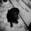 Kerry Hood - @KerryHood1 - Twitter