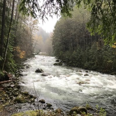 chrissh39927008's profile picture. Professor at Acadia. Proud sports Dad