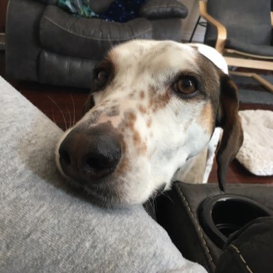 ststscy's profile picture. Social Worker in private practice & part time college professor. Views are not my college employers, but they definitely are my PP employers.