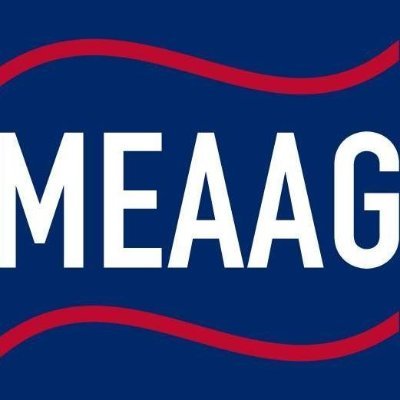Middle Eastern American Advisory Group (MEAAG)