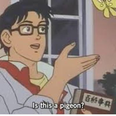 LyfePigeon Profile Picture