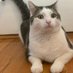 its not important (@sarahkyacomesin) Twitter profile photo
