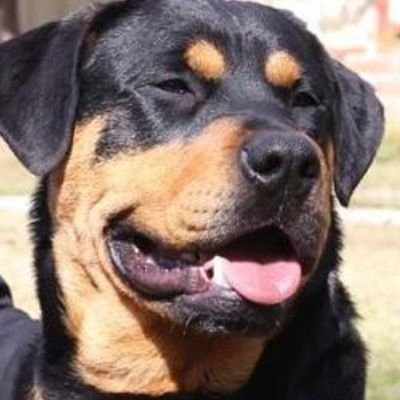 tissue4an_issue's profile picture. I'll say it like it is