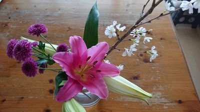 tomtomtomTokyo1's profile picture. 東京隅っこ暮らしです。最近はCQLやらMDZSやらTGCFやら沼っています。