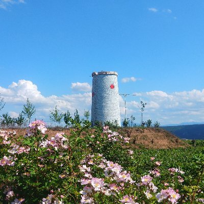 EileenL18732866's profile picture. 