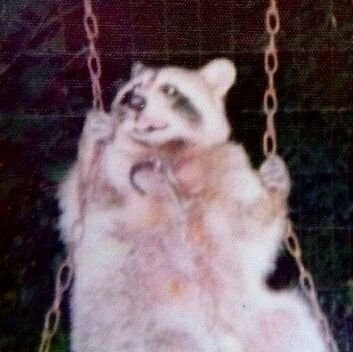 zzxxvvl's profile picture. 