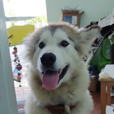 Miranda666888's profile picture. 