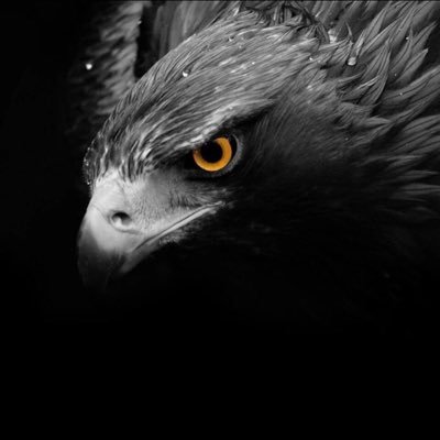 Young47490978's profile picture. Fun