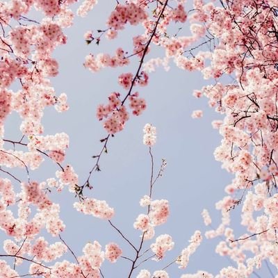 Profile Picture of ايمان عبد الله (@iman_abdullah1) on Twitter