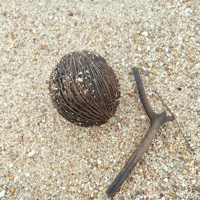 xyclaa's profile picture. Nah loh🙊