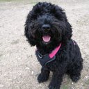 Maggie Heath - @MaggieHeath20 - Twitter