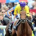 Terry Moloney - @PegasusTel - Twitter