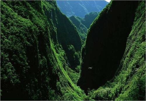 Eric_Smits's profile picture. 