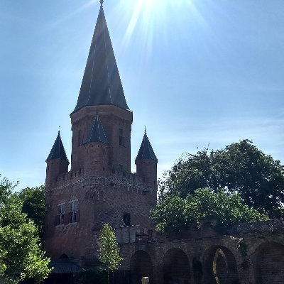 Middeleeuwse en vroegmoderne architectuur in Nederland. Eigen foto's.
Geen professional, dus aanvullingen en verbeteringen zijn welkom!