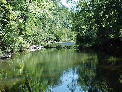 Camp Albemarle: a rural,rustic and restful environment in VA; for personal growth experiences; life skill devpmnt, pos.social interaction, envir educn,team bldg