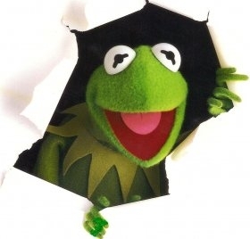 I_Kermit Profile Picture