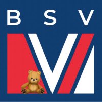 @BSVfoundation(@BsVfoundation) 's Twitter Profile Photo