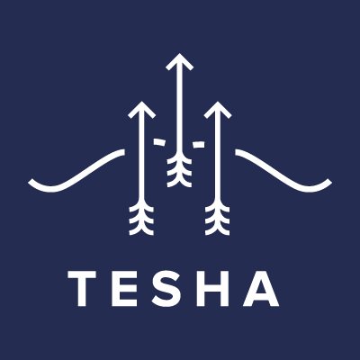 Tesha Group