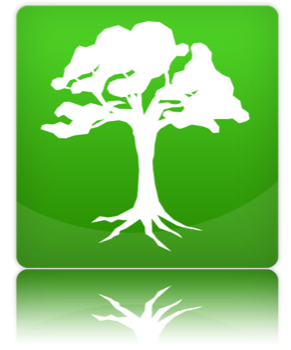 LesVerts3wet's profile picture. 