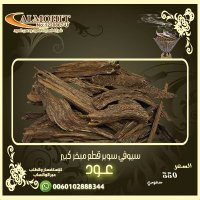 hanoofnajy444 (@hanoofnajy444) 's Twitter Profile Photo hanoofnajy444 (@hanoofnajy444) 's Twitter Profile Photo