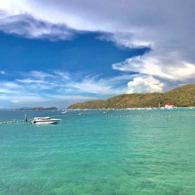 ok_scan's profile picture. 