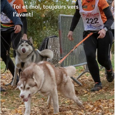 AurelieHubot's profile picture. 