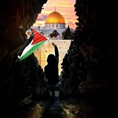 palestine will be free one day ❤🇵🇸

#Free_palestine