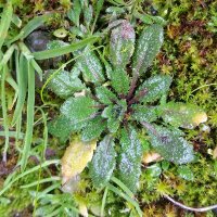 ECOGEN Lab (@ecogenlab) 's Twitter Profile