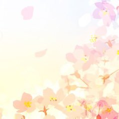 夢さんのプロフィール画像