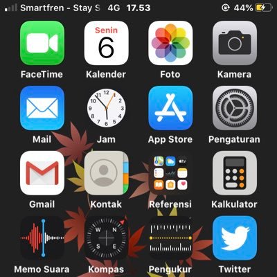 Apple👀 Unlock Iphone All Device Lost Mode/Clean👌Live In Bali And Have 1 Children☺️