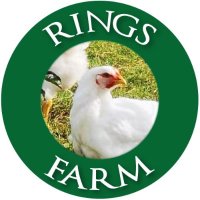 ringsfarm.ie (@clashduff) 's Twitter Profile