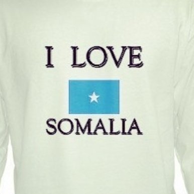 ShugriRidwan's profile picture. abdulahi