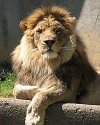 TROTTERYAGLOBAL's profile picture. We are into several Business Promotions and International Trades for all the Commodities for any Exports and Imports from India or else where in the World.