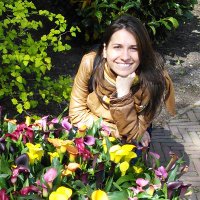 Daniela Ivan (@danielaivan8) 's Twitter Profile