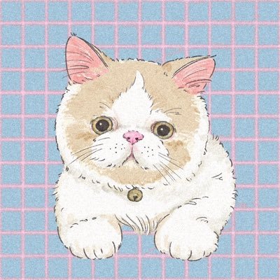 はだかいっかん‼️おとこもちまるだじょ‼️ 🐈 2019ねん11がつ22にちうまれ エキゾチックショートヘア ラインスタンプ発売中だじょ🐈 &Premiumにて連載『もちまる、おとこ道。』